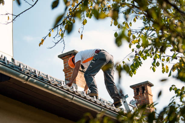 Residential Roof Replacement in Miami Springs, FL